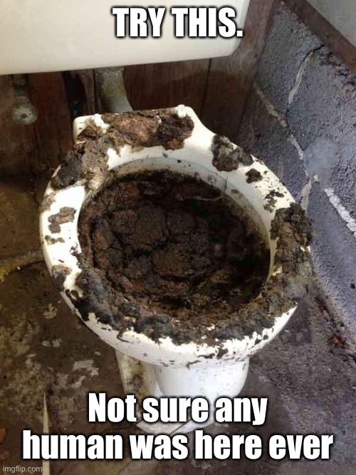 toilet | TRY THIS. Not sure any human was here ever | image tagged in toilet | made w/ Imgflip meme maker