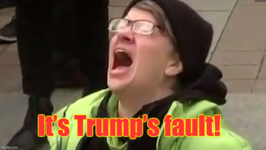 Screaming Liberal  | It’s Trump’s fault! | image tagged in screaming liberal | made w/ Imgflip meme maker