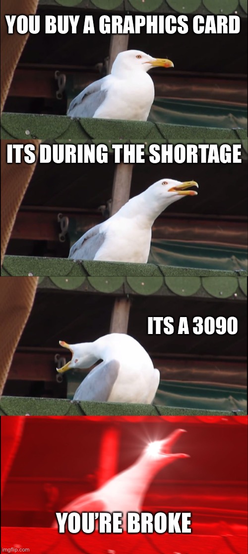 graphics card prices |  YOU BUY A GRAPHICS CARD; ITS DURING THE SHORTAGE; ITS A 3090; YOU’RE BROKE | image tagged in memes,inhaling seagull,shortage | made w/ Imgflip meme maker