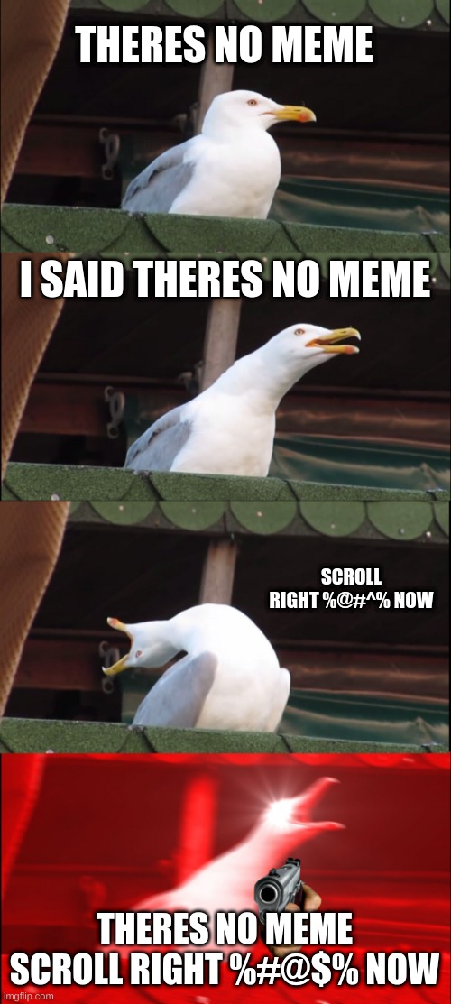 SCROLL NOW | THERES NO MEME; I SAID THERES NO MEME; SCROLL RIGHT %@#^% NOW; THERES NO MEME SCROLL RIGHT %#@$% NOW | image tagged in memes,inhaling seagull | made w/ Imgflip meme maker