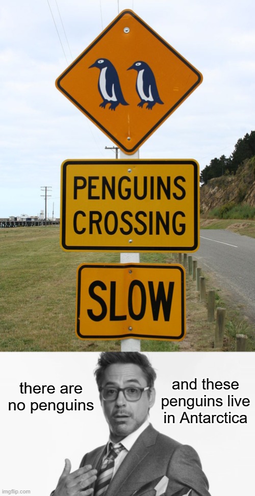 10 IQ sign | and these penguins live in Antarctica; there are no penguins | image tagged in robert downey jr's comments,memes,funny,funny signs,stupid signs,penguin | made w/ Imgflip meme maker