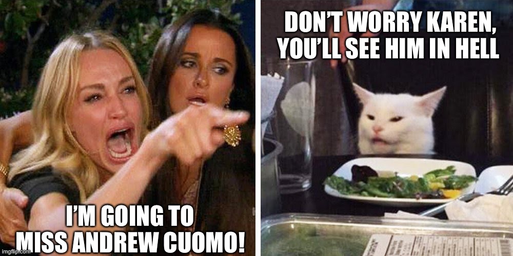 Cuomo leaving office | DON’T WORRY KAREN, YOU’LL SEE HIM IN HELL; I’M GOING TO MISS ANDREW CUOMO! | image tagged in smudge the cat | made w/ Imgflip meme maker