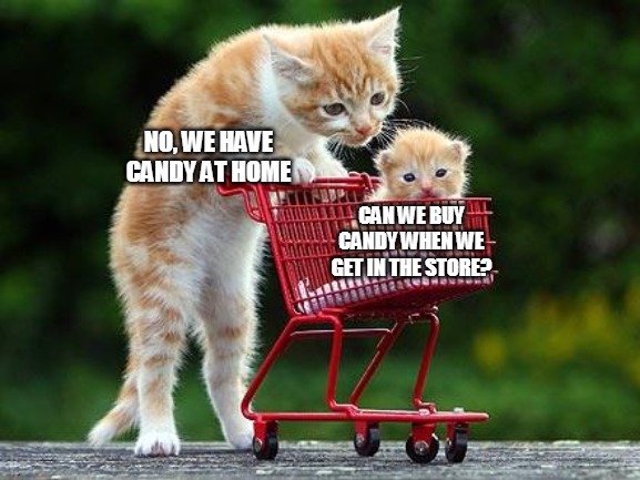 Cats: The Road | NO, WE HAVE CANDY AT HOME; CAN WE BUY CANDY WHEN WE GET IN THE STORE? | image tagged in cats the road,meme,memes,cats,grocery store,shopping,Catmemes | made w/ Imgflip meme maker