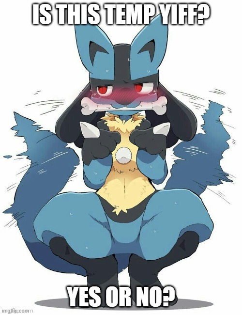 Lucario | IS THIS TEMP YIFF? YES OR NO? | image tagged in lucario | made w/ Imgflip meme maker