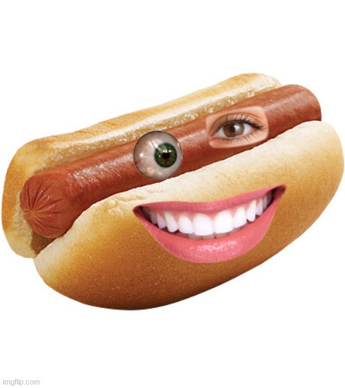 https://www.pictureofhotdog.com/ | made w/ Imgflip meme maker