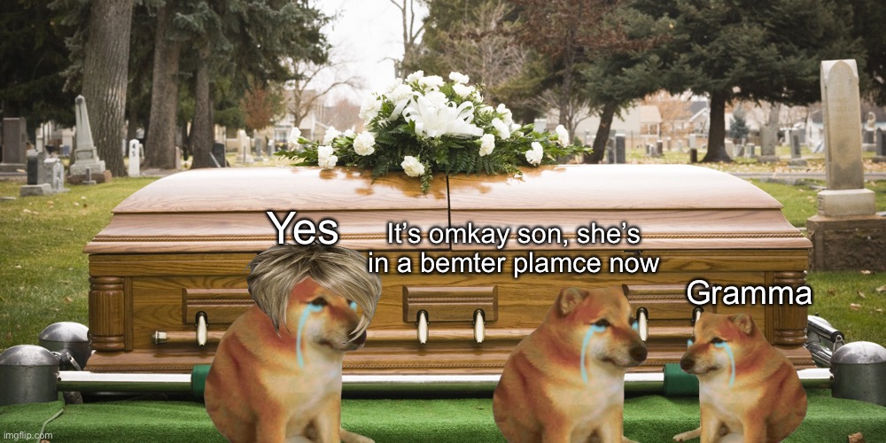 Sorry for the sudden sad part, bros |  It’s omkay son, she’s in a bemter plamce now; Yes; Gramma | image tagged in funeral,doge,cheems,sad | made w/ Imgflip meme maker