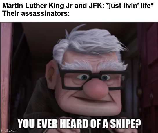 oof | Martin Luther King Jr and JFK: *just livin’ life*
Their assassinators: | image tagged in you ever heard of a snipe,murder,assassination,dark humor | made w/ Imgflip meme maker
