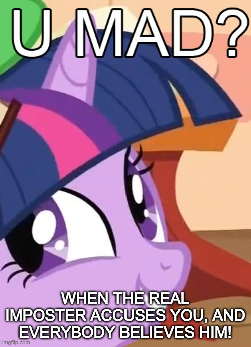 twilight u mad | WHEN THE REAL IMPOSTER ACCUSES YOU, AND EVERYBODY BELIEVES HIM! | image tagged in twilight u mad | made w/ Imgflip meme maker