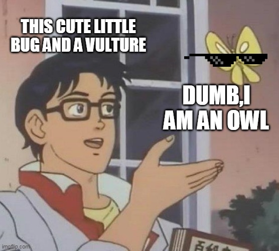 Is This A Pigeon | THIS CUTE LITTLE BUG AND A VULTURE; DUMB,I AM AN OWL | image tagged in memes,is this a pigeon | made w/ Imgflip meme maker