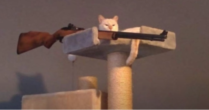 Sniper Cat (No Text) Blank Meme Template