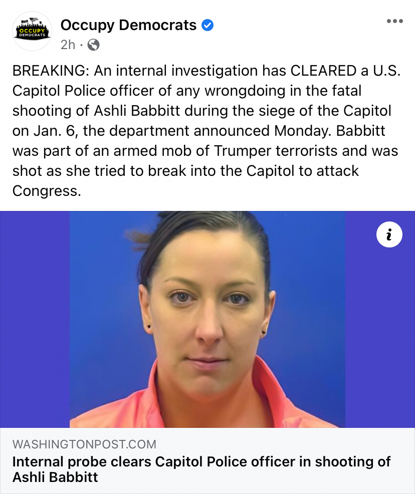 High Quality Ashli Babbitt terrorist Blank Meme Template