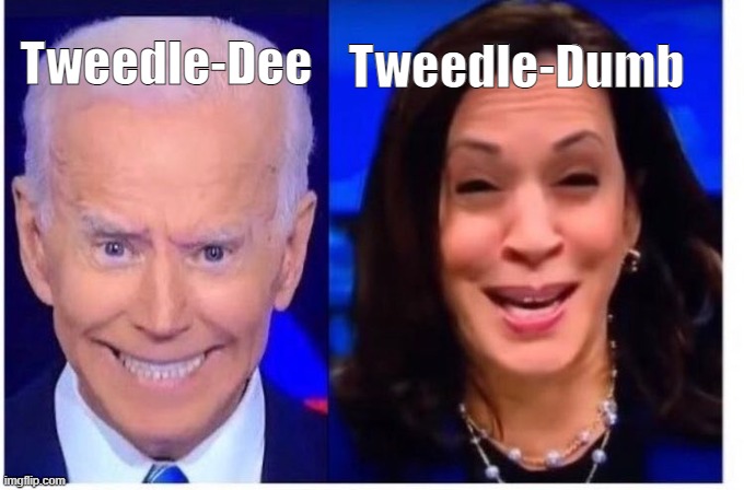 Biden Harris | Tweedle-Dumb; Tweedle-Dee | image tagged in biden harris | made w/ Imgflip meme maker