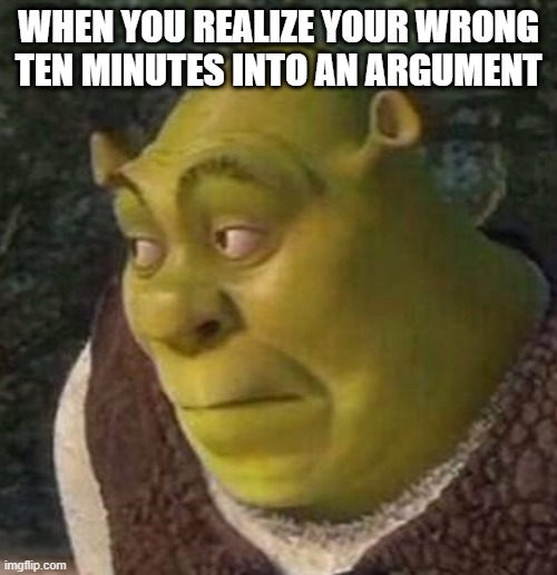Shrek | WHEN YOU REALIZE YOUR WRONG TEN MINUTES INTO AN ARGUMENT | image tagged in shrek | made w/ Imgflip meme maker