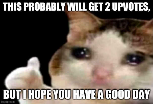 Sad cat thumbs up | THIS PROBABLY WILL GET 2 UPVOTES, BUT I HOPE YOU HAVE A GOOD DAY | image tagged in sad cat thumbs up | made w/ Imgflip meme maker