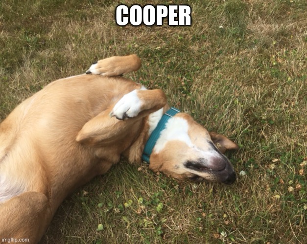 COOPER | made w/ Imgflip meme maker