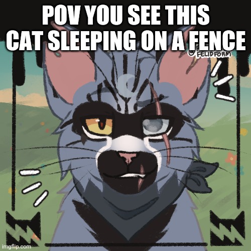 POV YOU SEE THIS CAT SLEEPING ON A FENCE | made w/ Imgflip meme maker