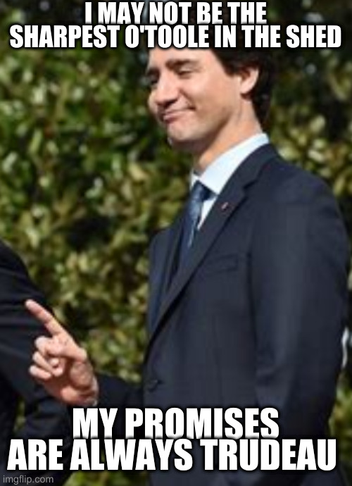 One thing | I MAY NOT BE THE SHARPEST O'TOOLE IN THE SHED; MY PROMISES ARE ALWAYS TRUDEAU | image tagged in one thing | made w/ Imgflip meme maker