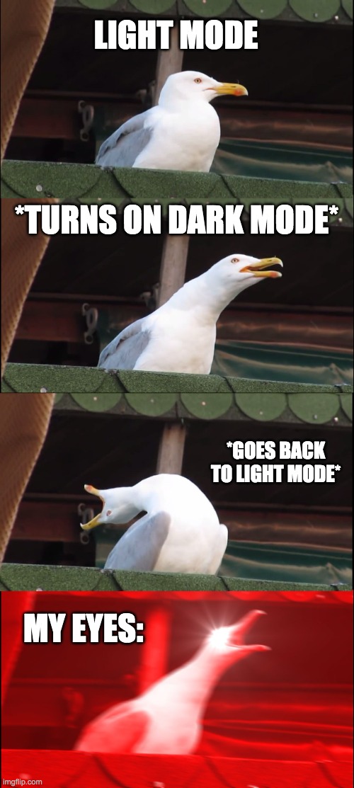 Inhaling Seagull Meme | LIGHT MODE; *TURNS ON DARK MODE*; *GOES BACK TO LIGHT MODE*; MY EYES: | image tagged in memes,inhaling seagull | made w/ Imgflip meme maker