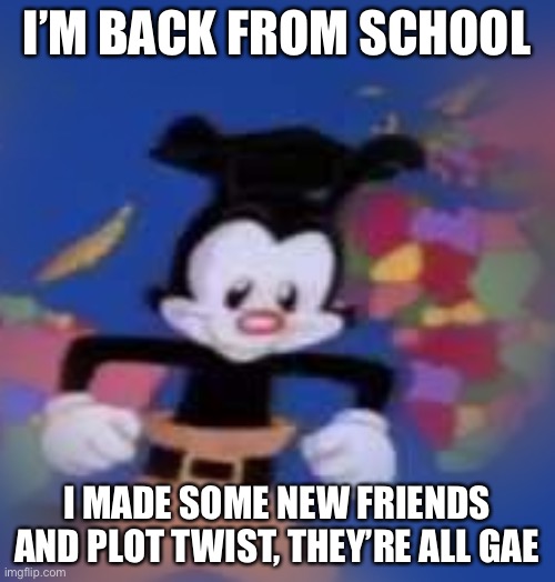 also the wig has arrived | I’M BACK FROM SCHOOL; I MADE SOME NEW FRIENDS AND PLOT TWIST, THEY’RE ALL GAE | image tagged in yakko | made w/ Imgflip meme maker