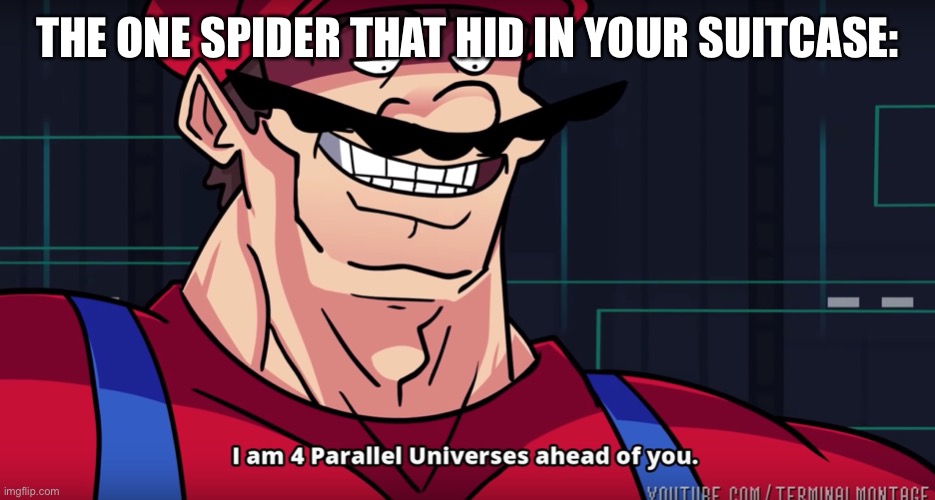 Mario I am four parallel universes ahead of you | THE ONE SPIDER THAT HID IN YOUR SUITCASE: | image tagged in mario i am four parallel universes ahead of you | made w/ Imgflip meme maker