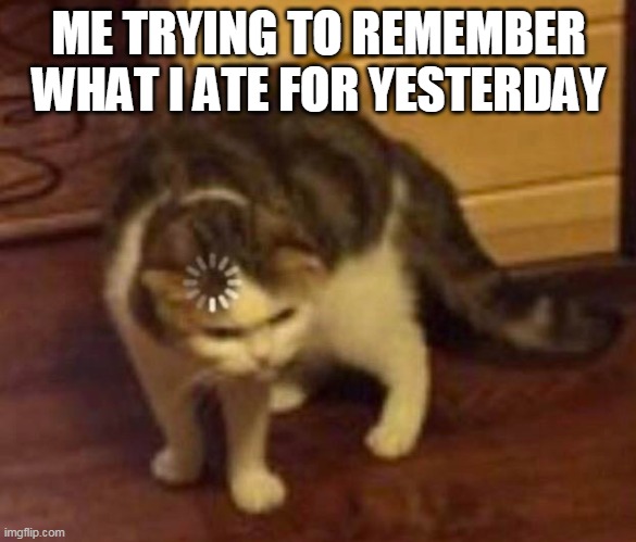 Thinking Cat | ME TRYING TO REMEMBER WHAT I ATE FOR YESTERDAY | image tagged in thinking cat | made w/ Imgflip meme maker