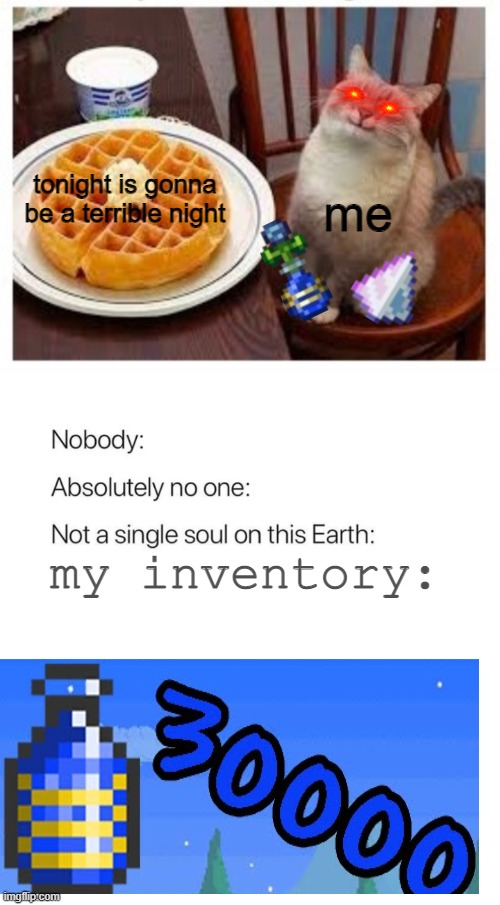 tonight is gonna
be a terrible night; me; my inventory: | image tagged in cat smiling at waffle,nobody absolutely no one,terraria | made w/ Imgflip meme maker