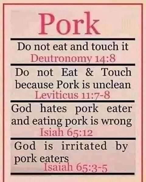 Pork is a sin Blank Meme Template