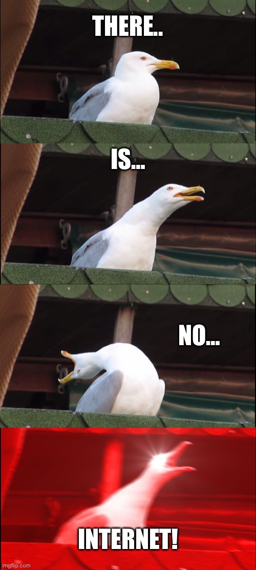 No internet meme.. | THERE.. IS…; NO…; INTERNET! | image tagged in memes,inhaling seagull,today is not that day,that one kid | made w/ Imgflip meme maker