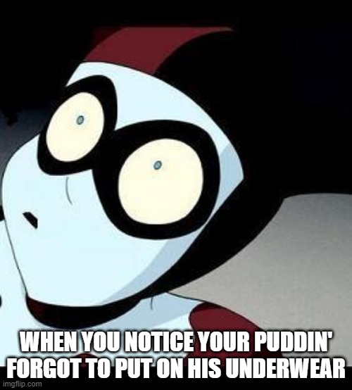 Up the Pant Leg I Guess | WHEN YOU NOTICE YOUR PUDDIN' FORGOT TO PUT ON HIS UNDERWEAR | image tagged in harley quinn | made w/ Imgflip meme maker