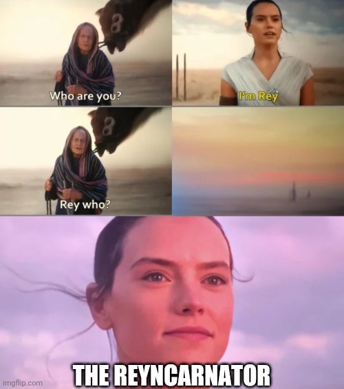 Rey Who? | THE REYNCARNATOR | image tagged in rey who | made w/ Imgflip meme maker