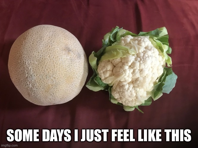 Melancholy | SOME DAYS I JUST FEEL LIKE THIS | image tagged in melon | made w/ Imgflip meme maker