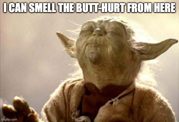 yoda smell | I CAN SMELL THE BUTT-HURT FROM HERE | image tagged in yoda smell | made w/ Imgflip meme maker