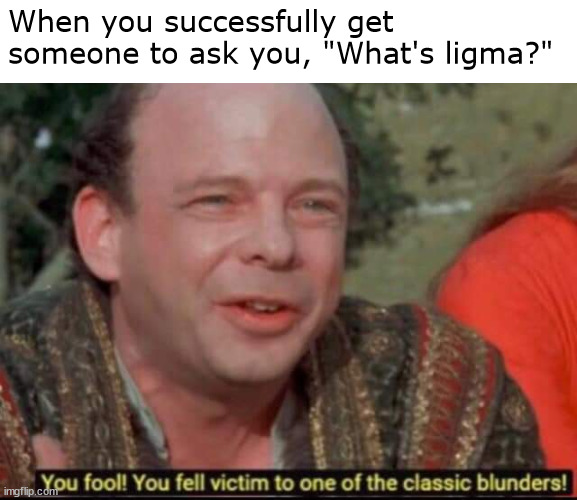 Got 'em 2 | When you successfully get someone to ask you, "What's ligma?" | image tagged in you fool you fell victim to one of the classic blunders,ligma,funny memes | made w/ Imgflip meme maker