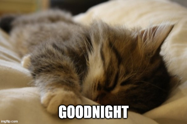 Goodnight | GOODNIGHT | image tagged in goodnight | made w/ Imgflip meme maker