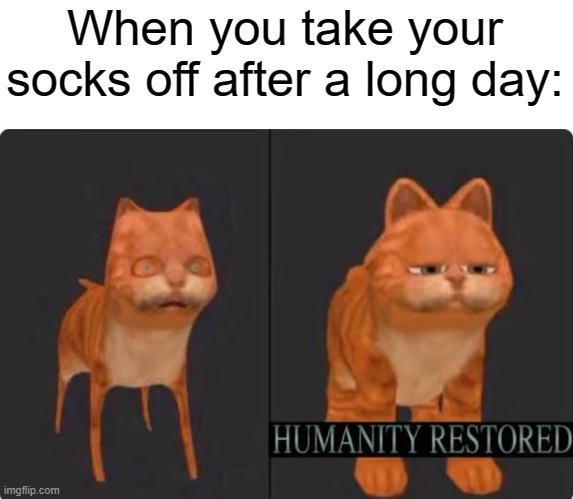 it just feels so good to take socks off after a day |  When you take your socks off after a long day: | image tagged in humanity restored | made w/ Imgflip meme maker