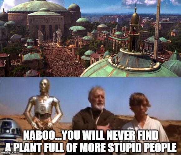 I Mean, They Could've Attacked the Ship Themselves... | NABOO...YOU WILL NEVER FIND A PLANT FULL OF MORE STUPID PEOPLE | image tagged in naboo,star wars | made w/ Imgflip meme maker