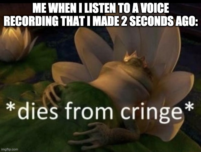 RIP My Voice | ME WHEN I LISTEN TO A VOICE RECORDING THAT I MADE 2 SECONDS AGO: | image tagged in voicerecording,relatable,dumb | made w/ Imgflip meme maker