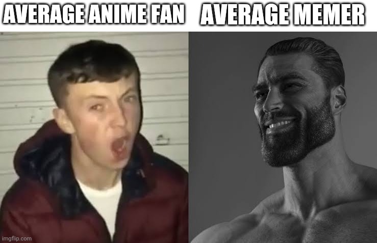 An*me | AVERAGE ANIME FAN; AVERAGE MEMER | image tagged in average fan vs average enjoyer | made w/ Imgflip meme maker