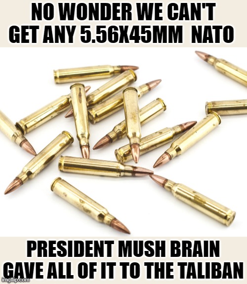 yep | NO WONDER WE CAN'T GET ANY 5.56X45MM  NATO; PRESIDENT MUSH BRAIN GAVE ALL OF IT TO THE TALIBAN | image tagged in democrats,idiocracy | made w/ Imgflip meme maker