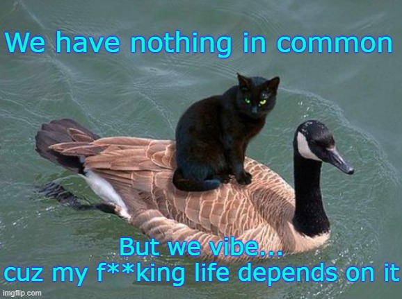 . | We have nothing in common; But we vibe...
cuz my f**king life depends on it | made w/ Imgflip meme maker
