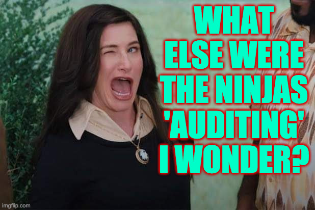 WandaVision Agnes wink | WHAT ELSE WERE THE NINJAS 'AUDITING' I WONDER? | image tagged in wandavision agnes wink | made w/ Imgflip meme maker