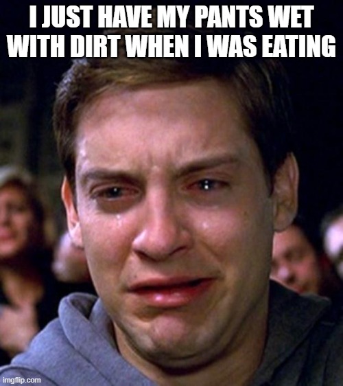 Your Pants Dirty | I JUST HAVE MY PANTS WET WITH DIRT WHEN I WAS EATING | image tagged in crying peter parker | made w/ Imgflip meme maker