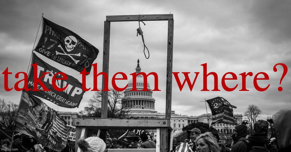 Capitol Hill riot gallows | take them where? | image tagged in capitol hill riot gallows | made w/ Imgflip meme maker