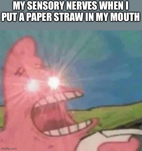 Patrick Screamin | MY SENSORY NERVES WHEN I PUT A PAPER STRAW IN MY MOUTH | image tagged in patrick screamin | made w/ Imgflip meme maker