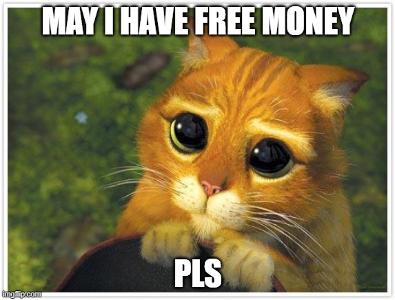 When you're asking | MAY I HAVE FREE MONEY; PLS | image tagged in memes,shrek cat | made w/ Imgflip meme maker