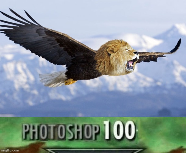 Lion eagle photoshop | image tagged in photoshop 100,lion,eagle,photoshop,funny,memes | made w/ Imgflip meme maker