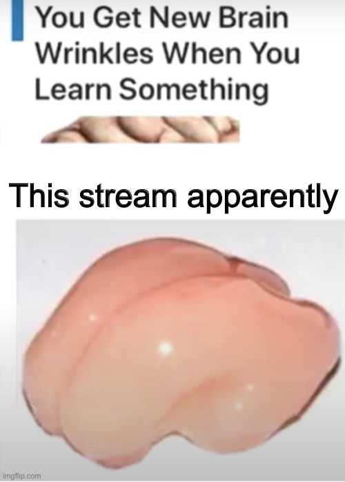 Howdy | This stream apparently | image tagged in you get new brain wrinkles when you learn something,funny,memes | made w/ Imgflip meme maker