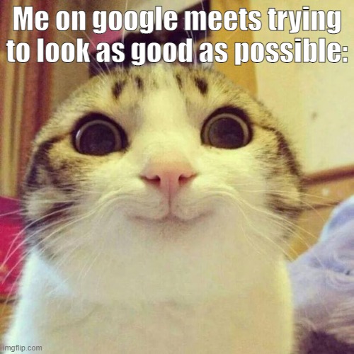 Smiling Cat | Me on google meets trying to look as good as possible: | image tagged in memes,smiling cat | made w/ Imgflip meme maker