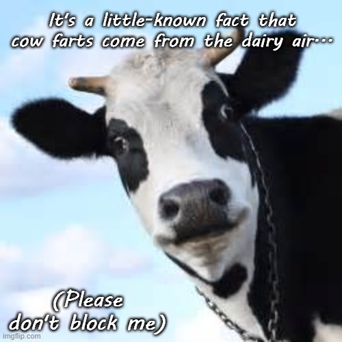 Another Groaner... | It's a little-known fact that cow farts come from the dairy air... (Please don't block me) | image tagged in cow farts,dairy,air | made w/ Imgflip meme maker