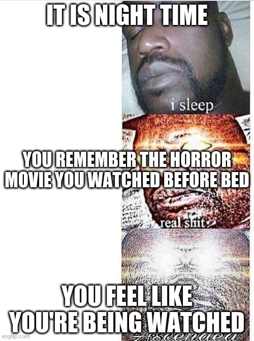 uh oh | IT IS NIGHT TIME; YOU REMEMBER THE HORROR MOVIE YOU WATCHED BEFORE BED; YOU FEEL LIKE YOU'RE BEING WATCHED | image tagged in i sleep meme with ascended template | made w/ Imgflip meme maker